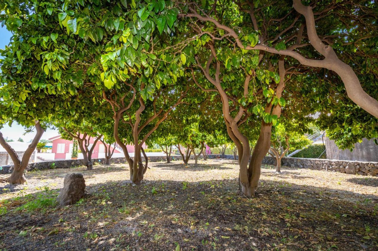 Dipladenia Garden Country Resort Mascali Εξωτερικό φωτογραφία