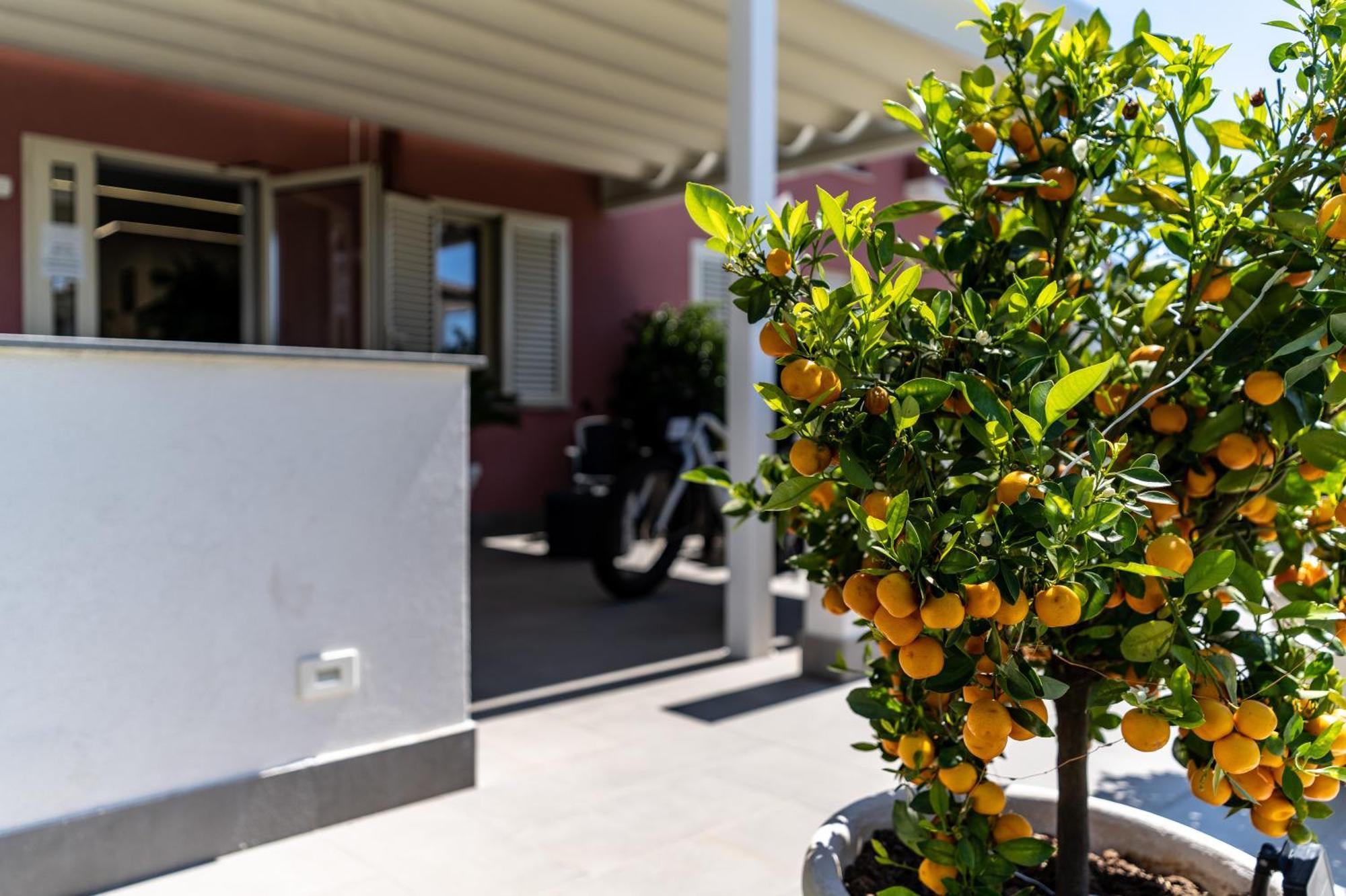 Dipladenia Garden Country Resort Mascali Εξωτερικό φωτογραφία